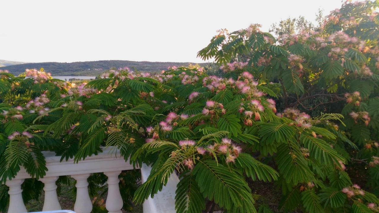 The Garden Of Elais Villa Sibenik Bagian luar foto